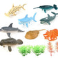 Sea Animal Toy Set – Marine Ocean Creatures Figures | Educational Learning Pack for Kids